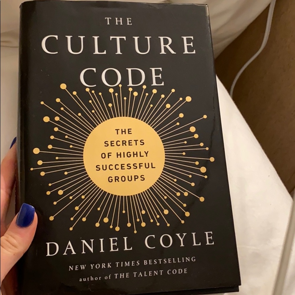 The Culture Code Book